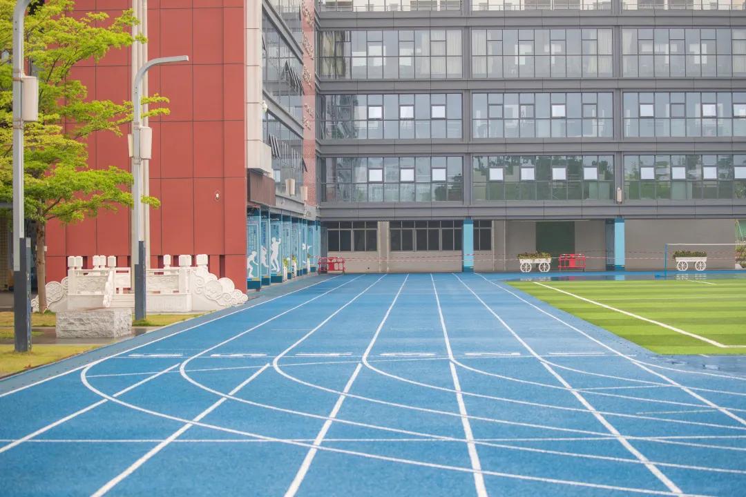 深圳建文外国语学校招生条件,深圳市建文外国语学校是否转公立