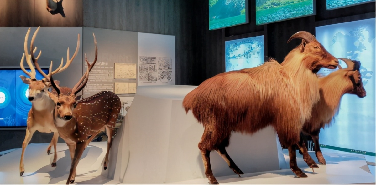 国家海洋博物馆游玩需要多久,天津生态城国家海洋博物馆