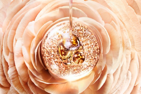 全新精华肌底兰蔻,全新兰蔻菁纯润白乳霜