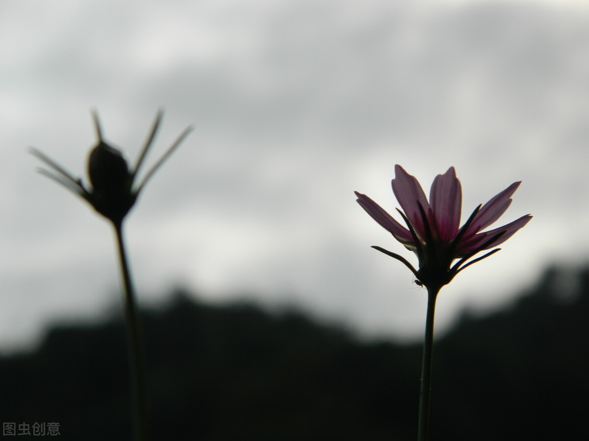 微妙无比——我曾与“玫琳凯”二度撞个满怀，便再也不想见