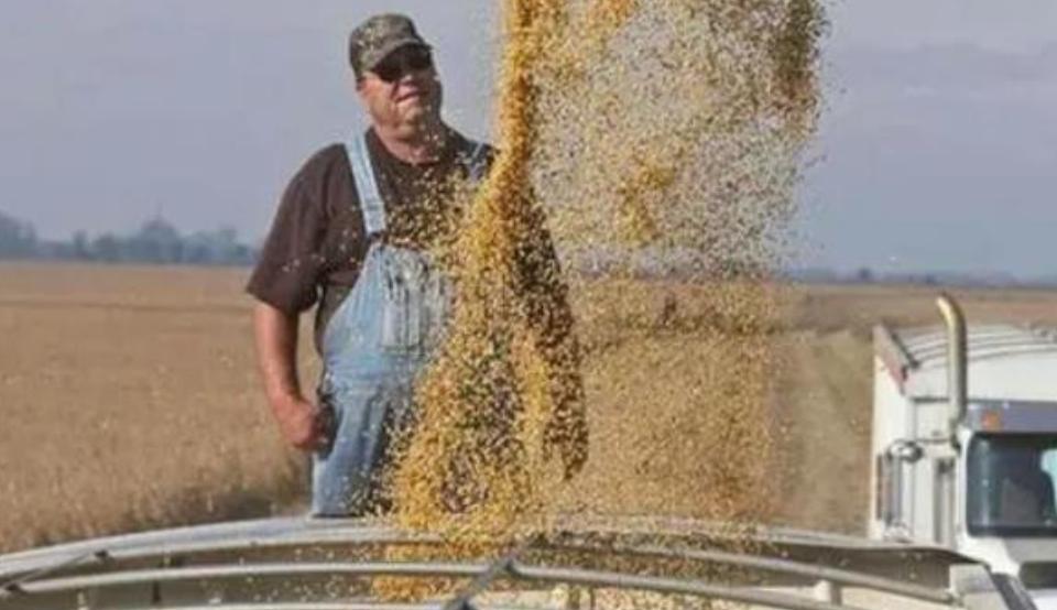 四大粮油巨头,世界粮油四大巨头