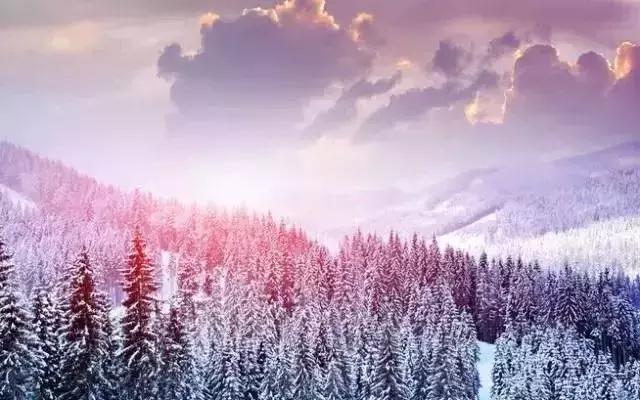 2022骞存仼鏂藉晢涓氶瓍鍔涙帓琛屾,榄呭姏鎵撳崱涔嬪煄鎭╂柦