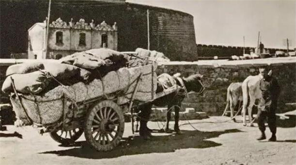 他是北京“掏粪霸主”，曾强占36条粪道，买下数百多套房子