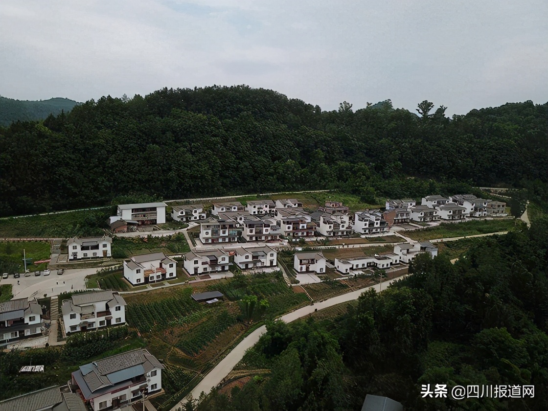 三变改革促进农村新型合作化,巴中市巴州区水宁寺镇发展总规划