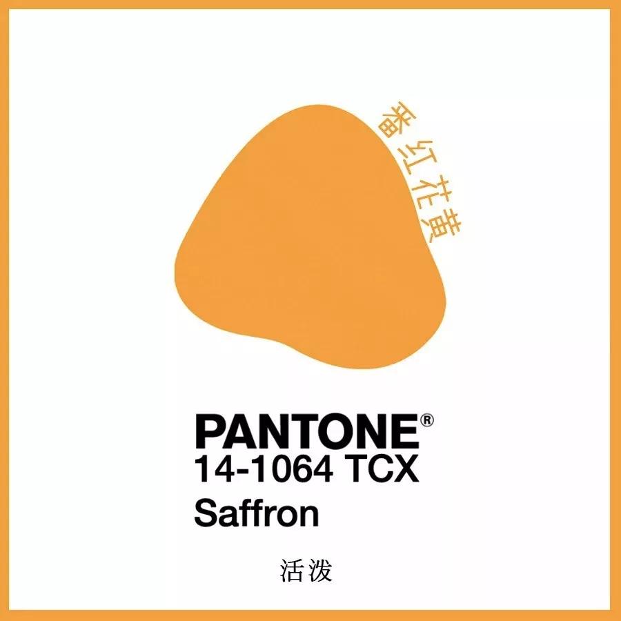 女的穿什么运动鞋好看,日常穿运动鞋推荐女