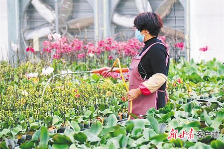 决战决胜脱贫攻坚原文,脱贫攻坚书写收官答卷