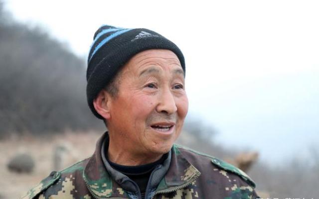 山西老汉意外在山上捡到金凤凰,老农在深山发现金凤凰