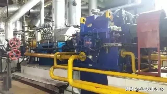 全国最先进的火电机组,全国最先进发电厂