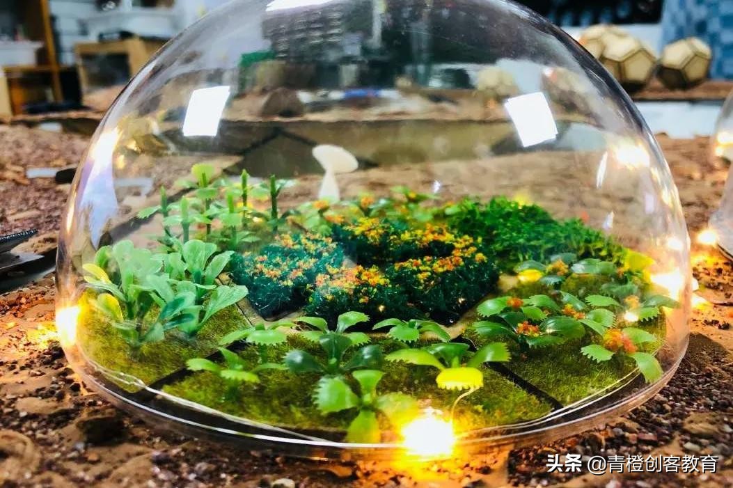 青橙设计工作室,成都青橙营地夏令营