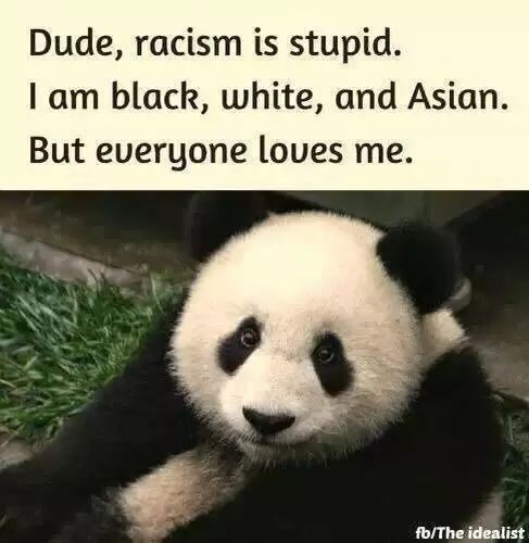 外国为什么喜欢熊猫,你不知道外国人有多喜欢中国美食