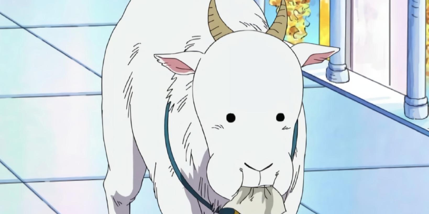 海贼王各个海贼团的团宠,海贼王十大海兽