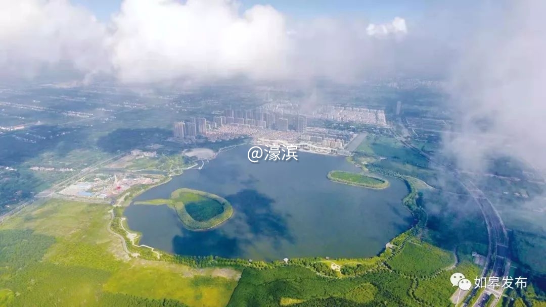 什么是如皋蝶尾,如皋的特点