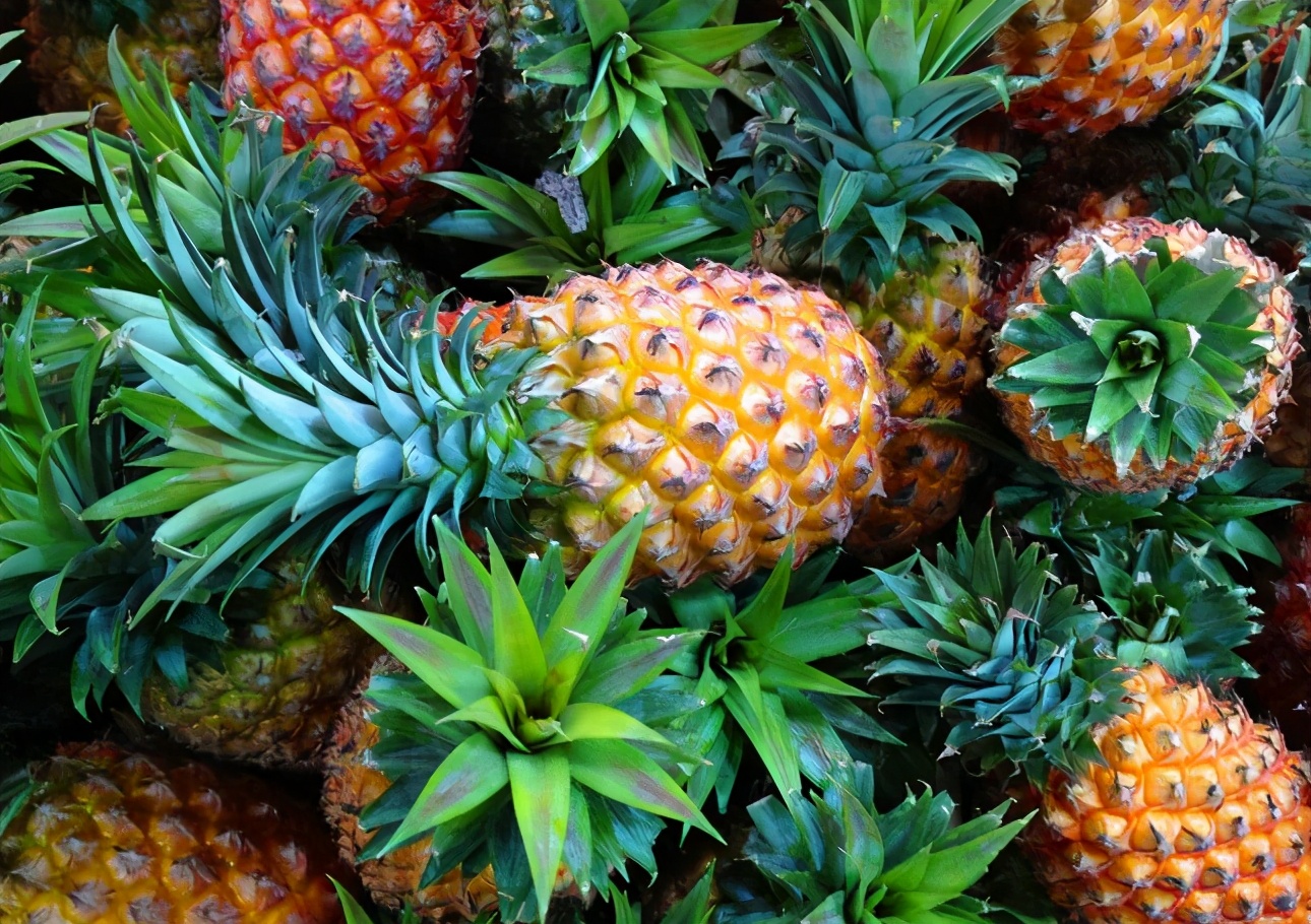 清明过后吃什么水果正当时,清明节前后应季水果的功效和作用