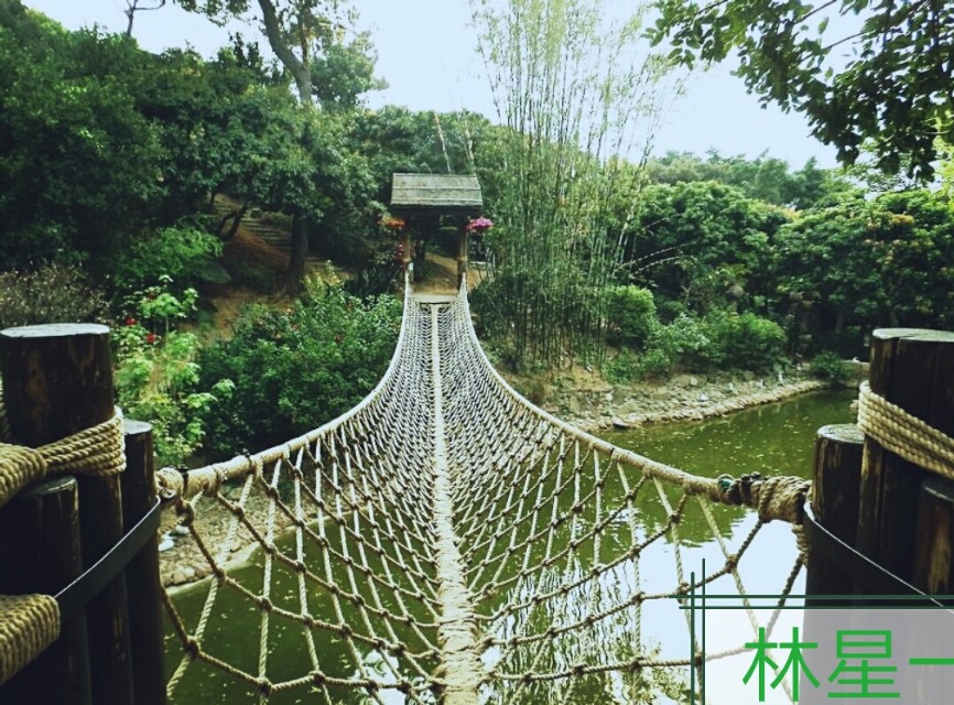 深圳世界公园景点,深圳青青世界景点地址查询