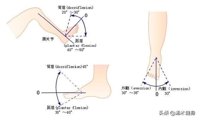 跑步对于下半身肌肉的训练,小腿迎面骨外侧肌肉疼怎么拉伸