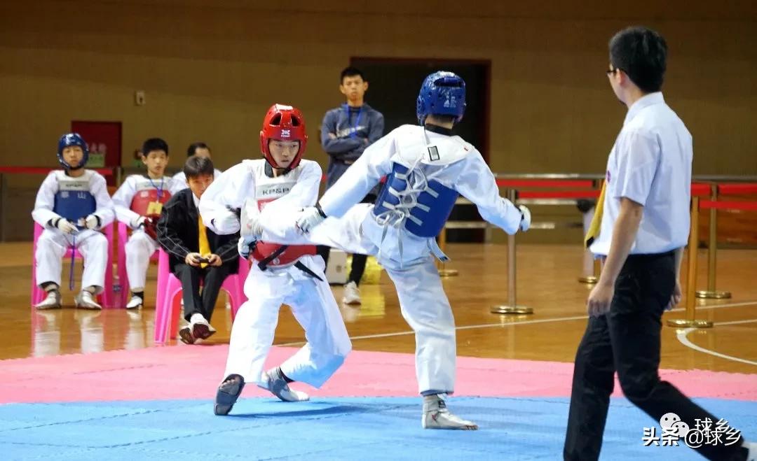 亚运冠军跆拳道,市运会跆拳道第一名