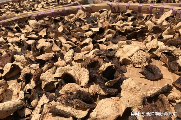 如何辨别陈皮是否发霉,新会陈皮怎么保存才不会发霉