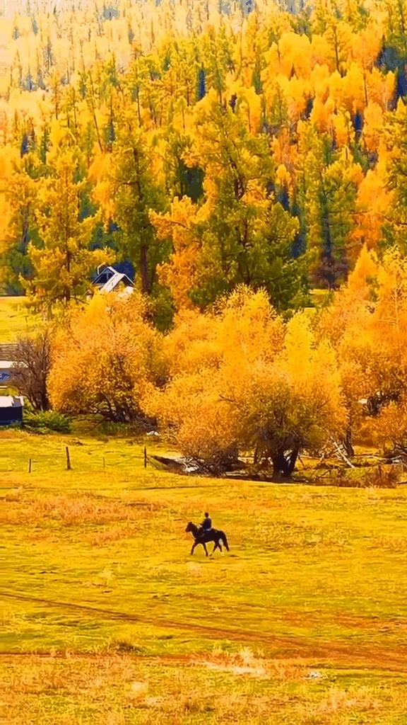 如果你不了解现实你就去看历史,如果你不了解历史就无法展望未来