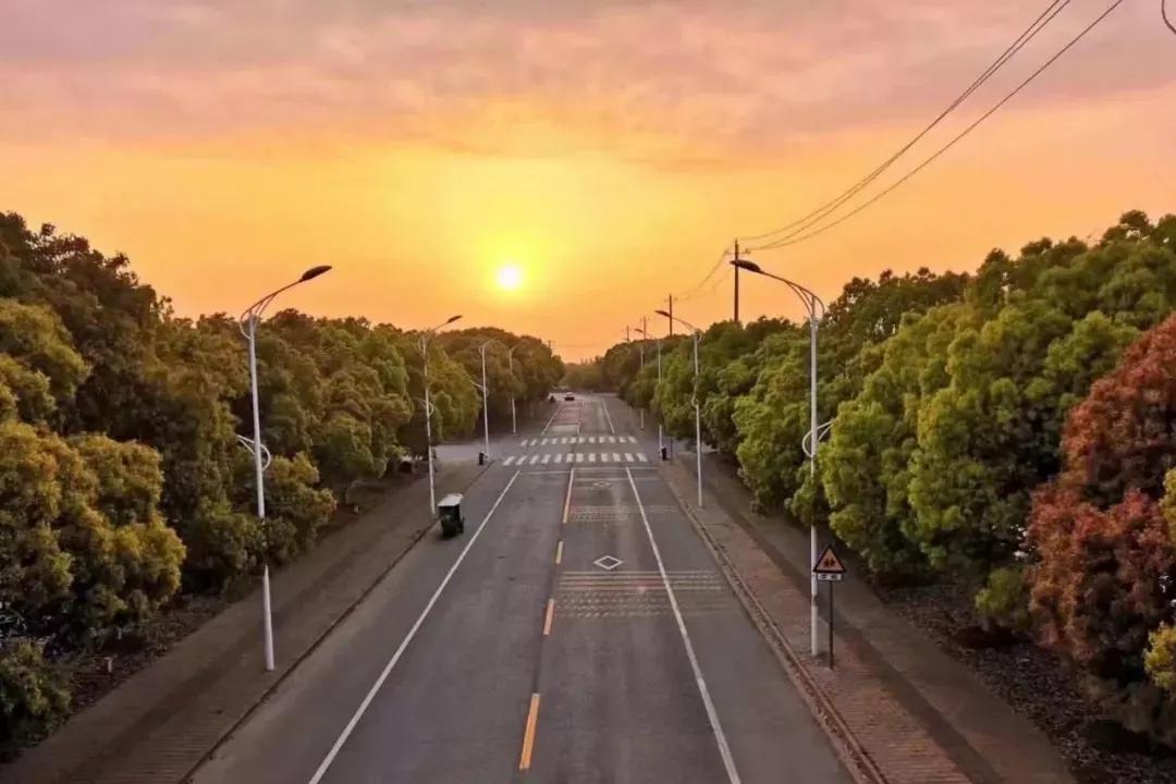 江苏省高校(六十六)苏州大学应用技术学院