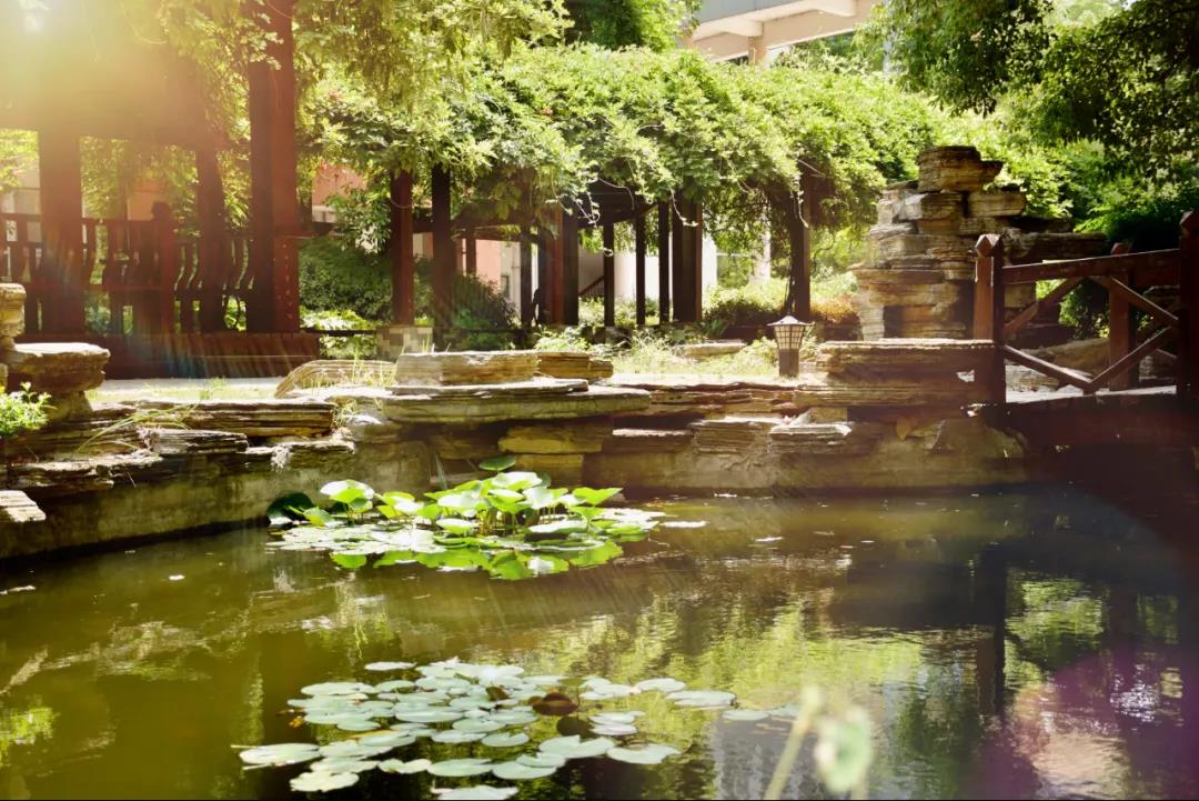 全国最牛中学校长公开教育秘诀,全国最牛中学校长