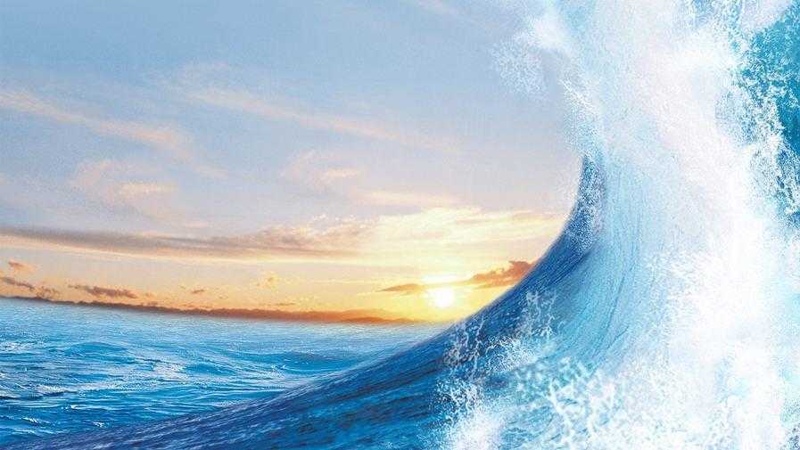 他们为什么去创业,他们为啥选择返乡创业