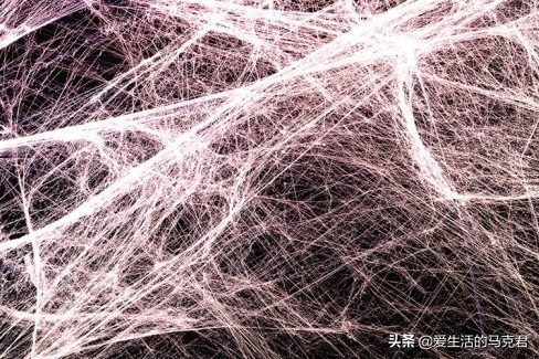 筋膜枪是不是交智商税,筋膜枪贵的智商税