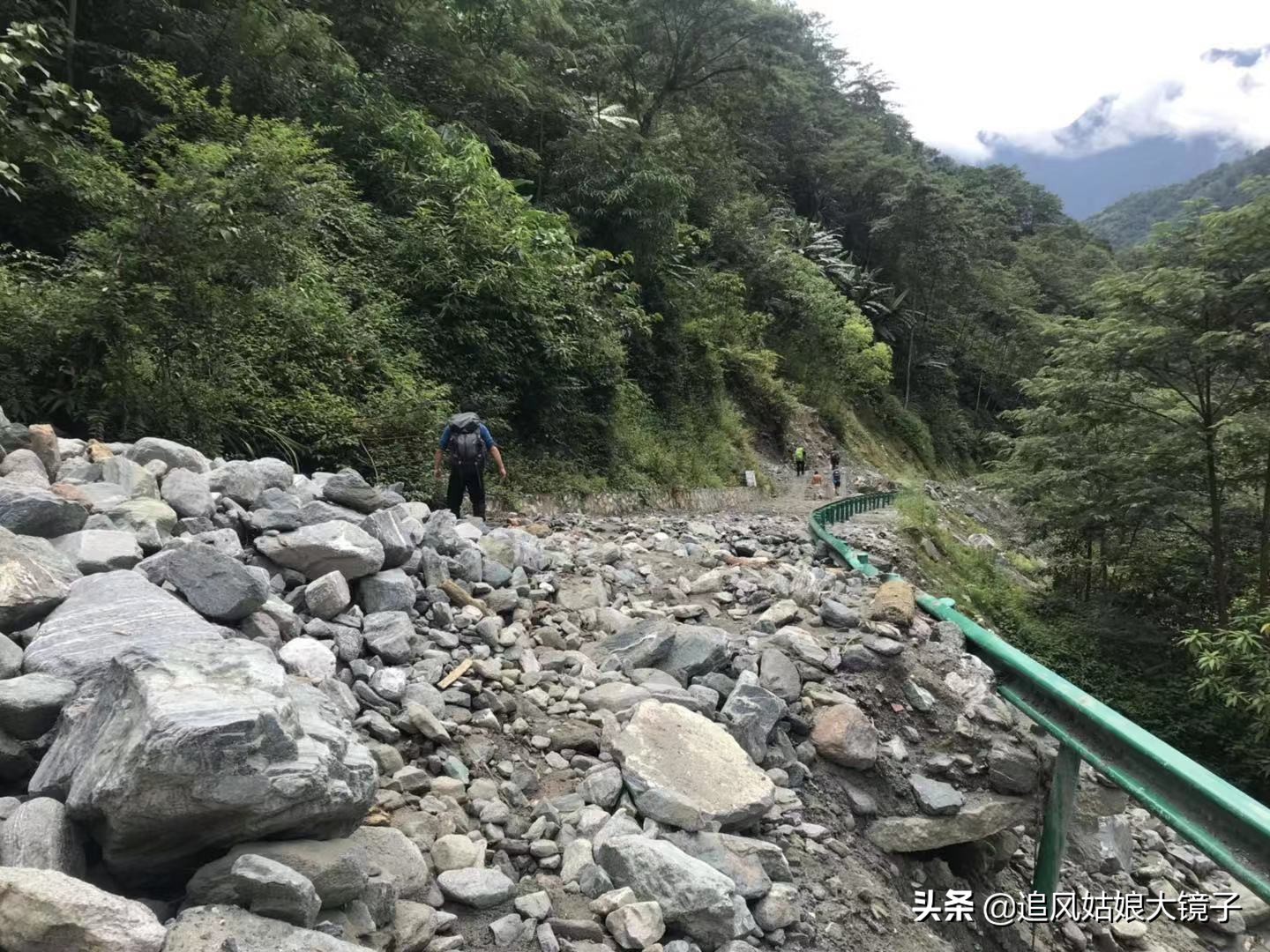 穿越到原始森林里面,穿越原始森林来种田