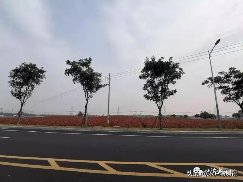 15号线到上海南站需要多久,15分钟到上海的高铁