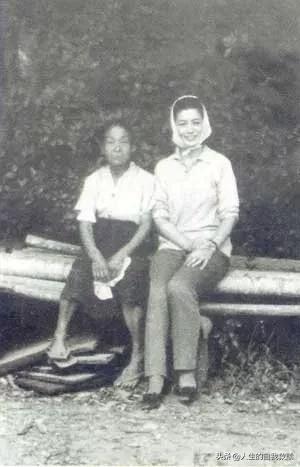 一部《人民日报》安利的「黄片」，揭露了日本最羞耻的一面