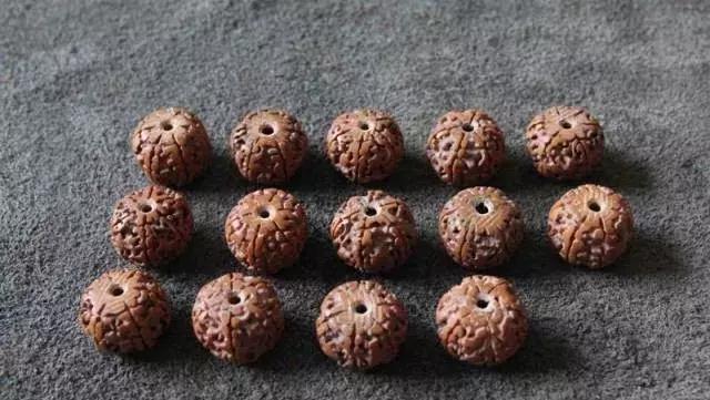 打磨藏式金刚教程,无齿藏式金刚菩提怎么盘