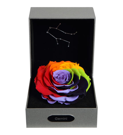 12星座女最喜欢什么花,追12星座女生送什么花