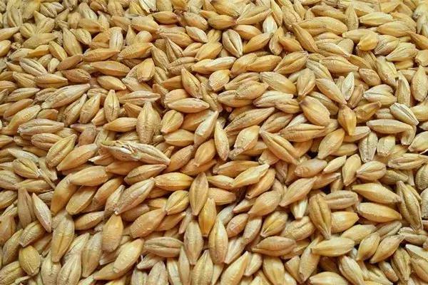 琼锅糖是陕西的吗,陕西琼锅糖是什么油做的