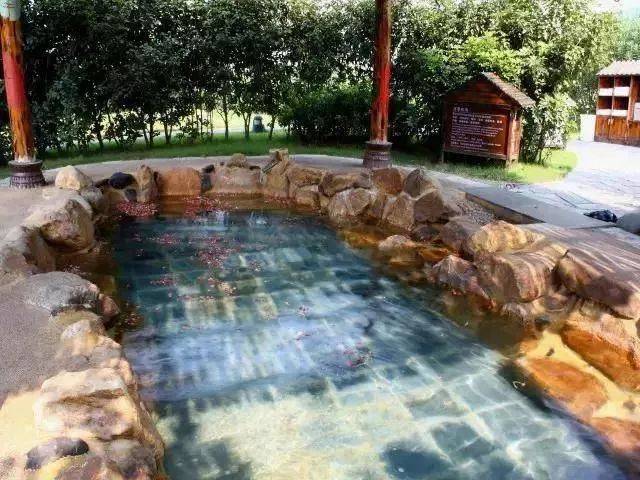 森波拉温泉度假村两天一夜游,倒数跨年狂欢夜