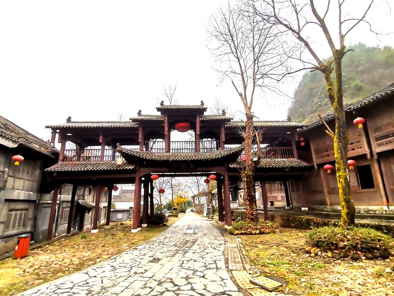 都匀茶旅小镇,都匀毛尖茶园基地游玩