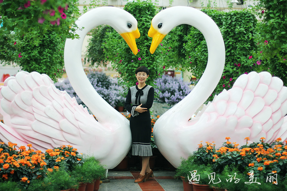 百万葵园有多坑,百万葵园免门票