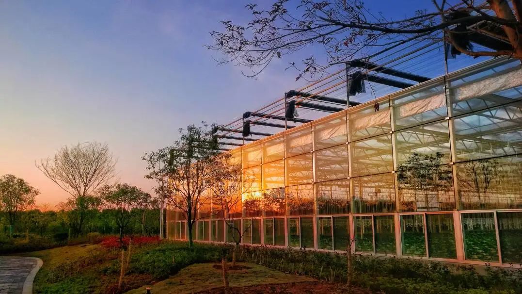 蓝城史诗级田园巨著，或将引领十万武汉人“上山下乡”