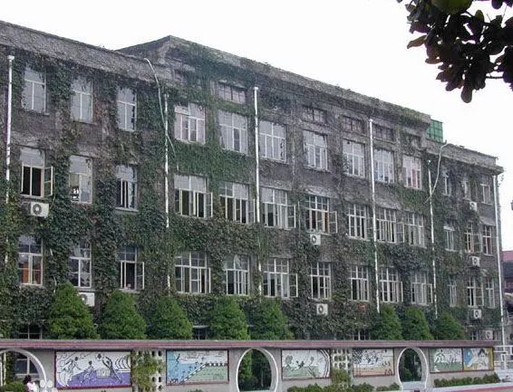 上海最好的小学排名前十名,上海市最好的小学前10名