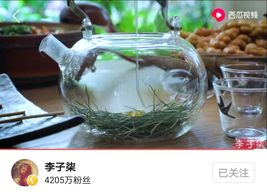 李子柒麦子的一生的播放量,李子柒麦子的生长过程