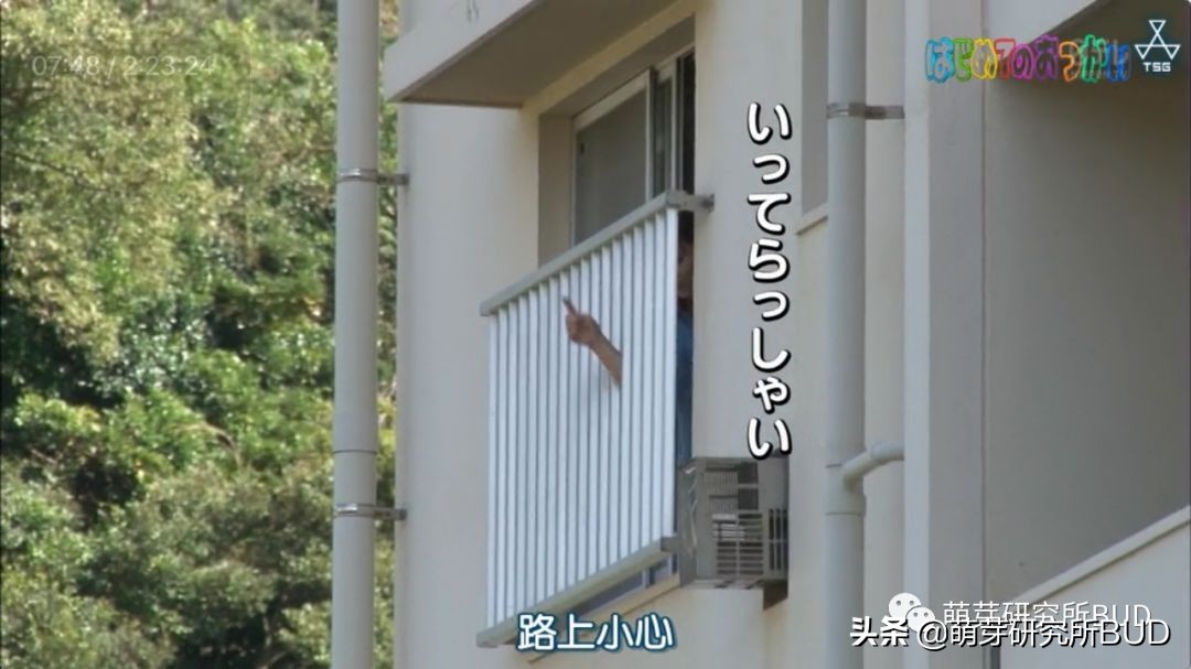 日综《初遣》：记录3个孩子初次人生大冒险，他们都哭了