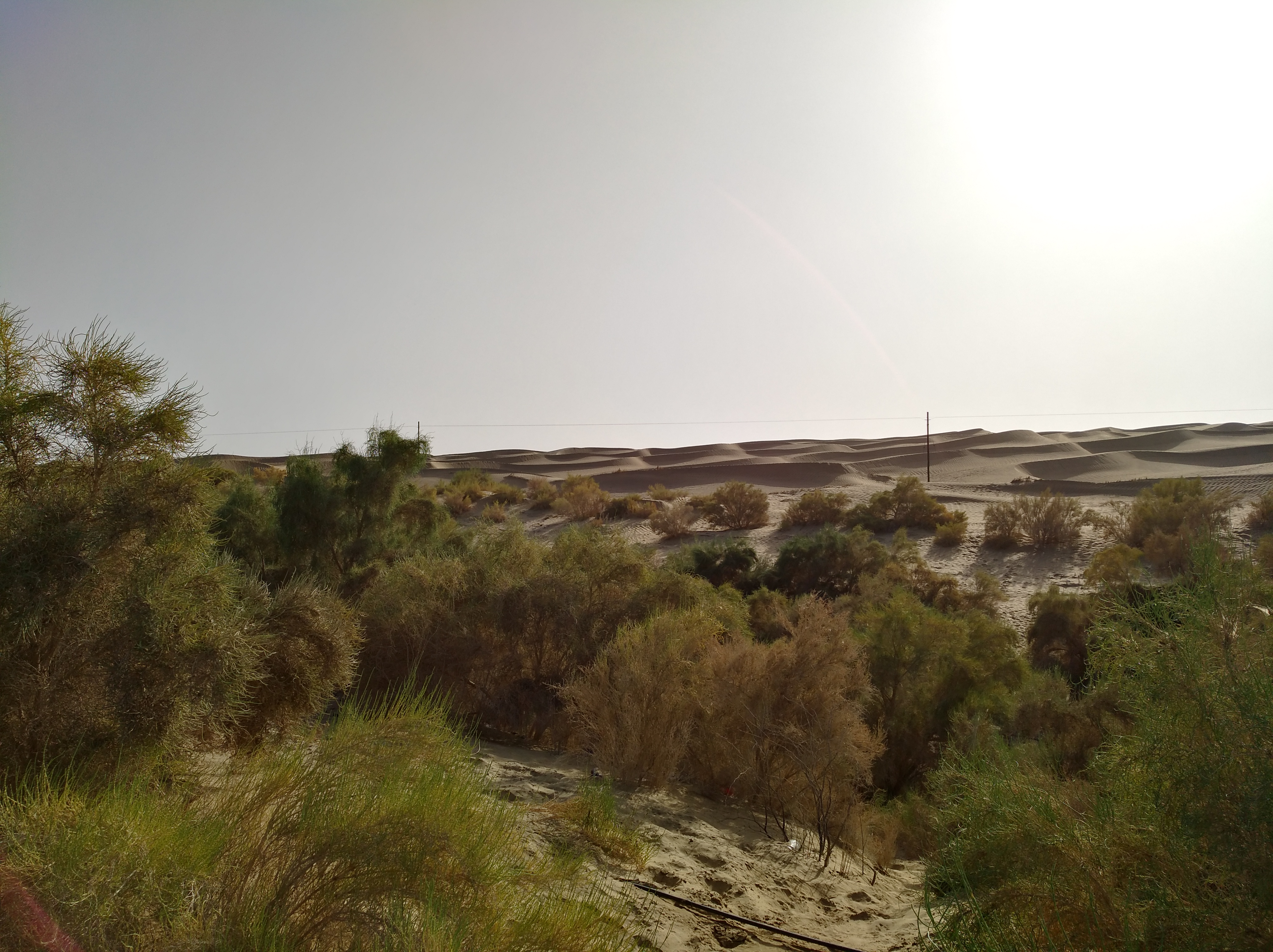 13000公里新手独驾*疆新**日记第23天——塔克拉玛干沙漠陷车自救