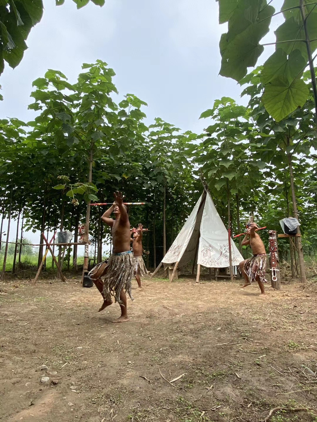 井陉豌豆农庄视频,河北省井陉县豌豆农庄