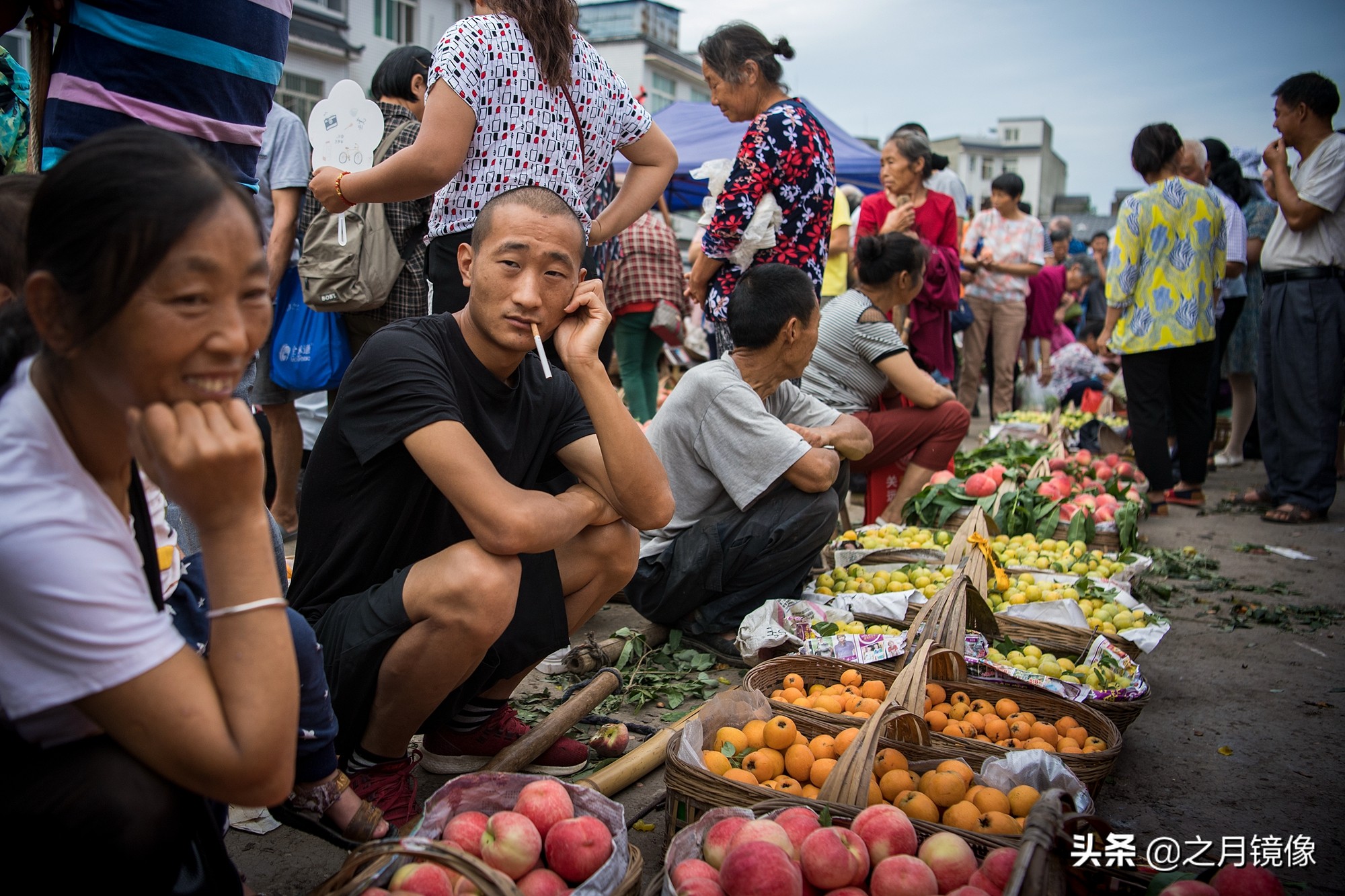 天府新区太平枇杷,成都太平枇杷批发市场
