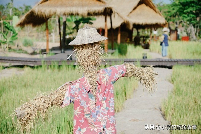 芭提雅暹罗湾有什么玩的,泰国芭提雅传奇暹罗主题乐园门票