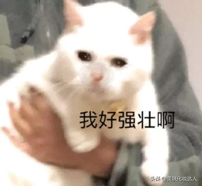 我竟然用一支口红的钱,承包了超市的半个货架?!