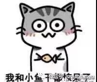 左脑右脑玩三国华容道,左脑右脑测试动图