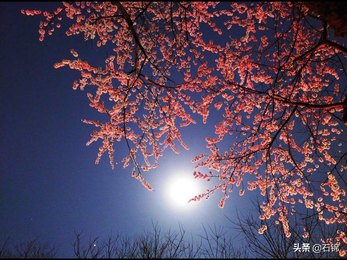 十句令人伤感的诗句,最让人忧伤的古诗句