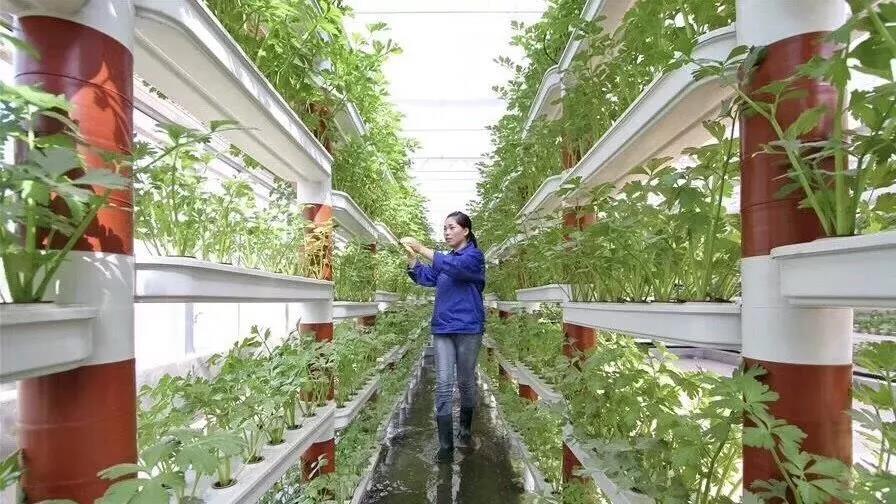 11月中旬羊狮慕景区,江西羊狮慕旅游攻略