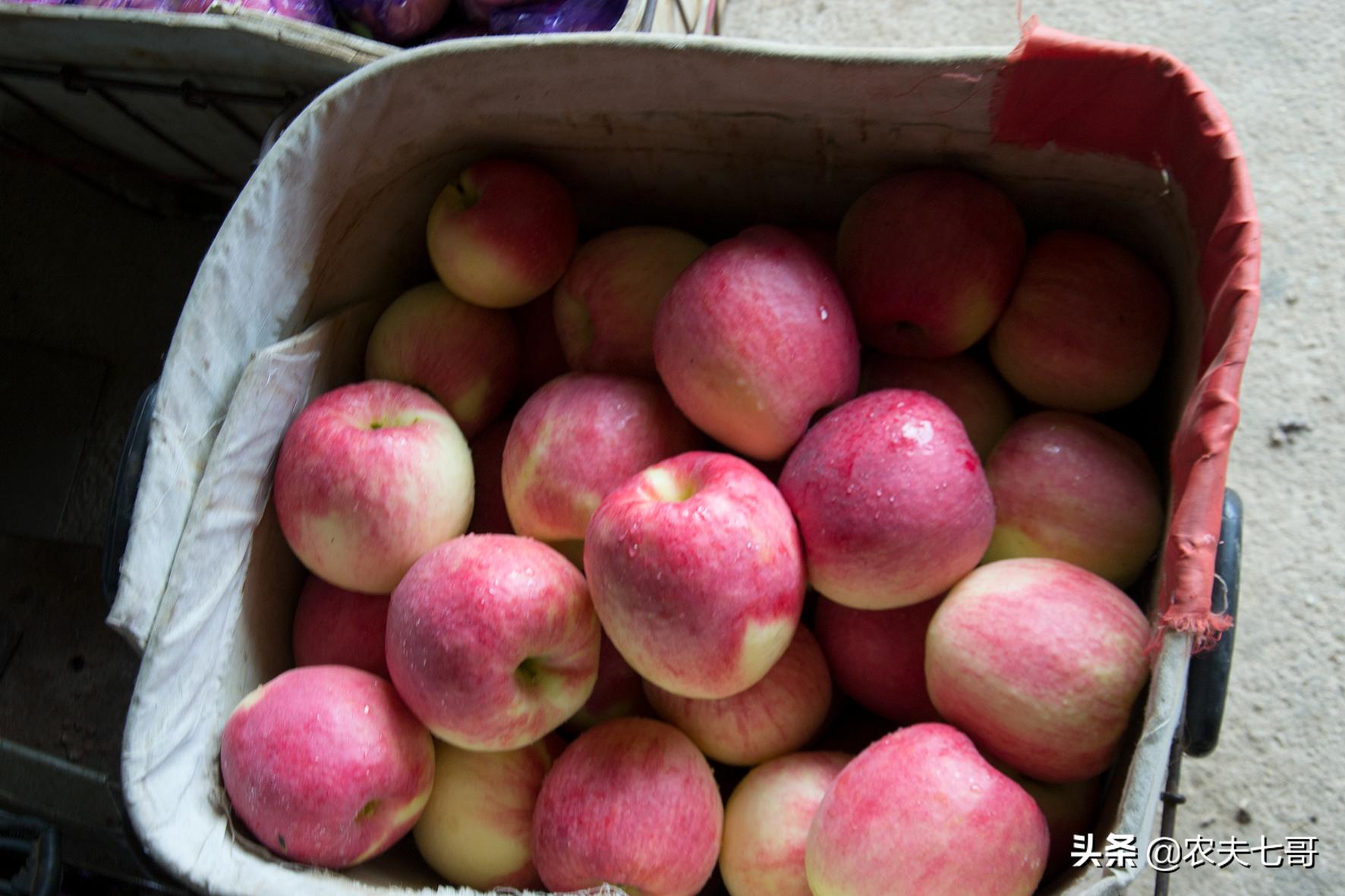 嘎啦苹果和普通苹果区别,嘎啦苹果与红富士口感区别