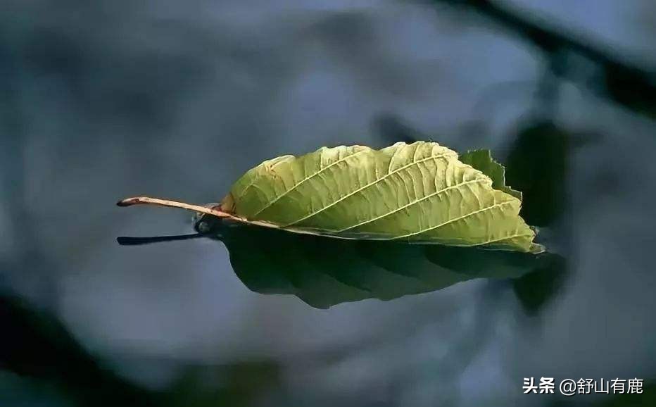 面对小人的背后恶语攻击怎么办,怎么对付谣言小人