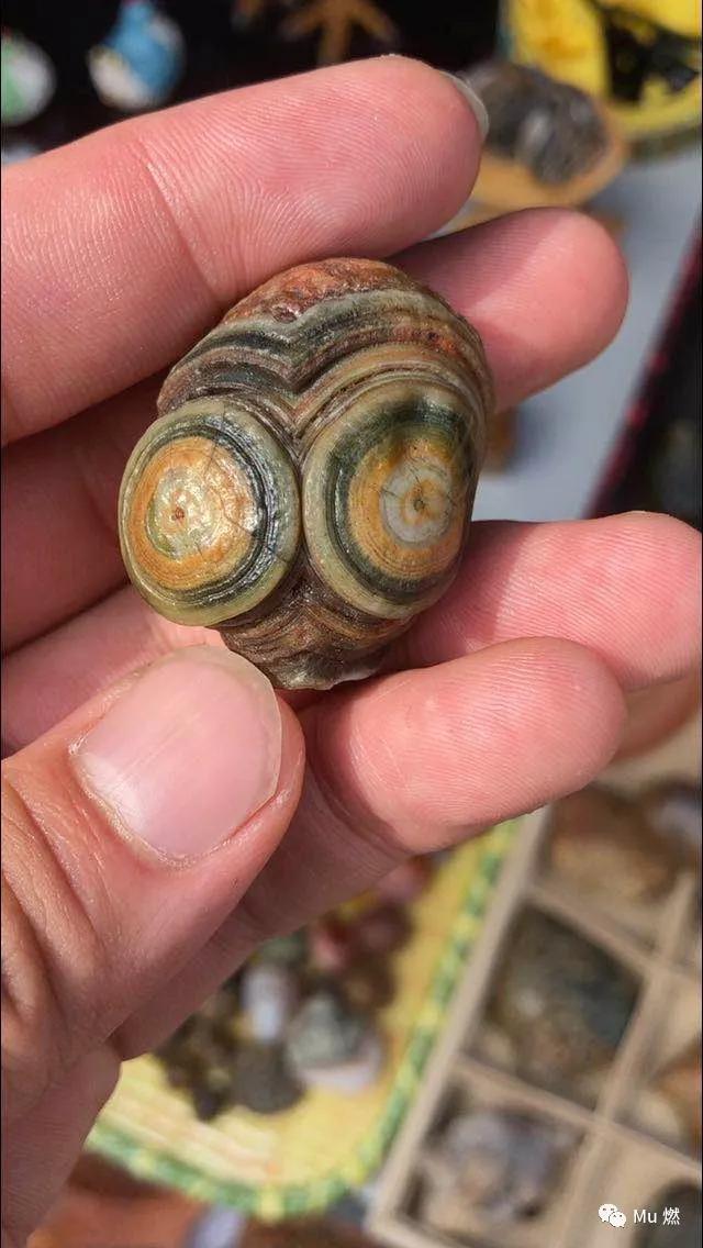 品石之路48章免费阅读,品石之路小说第43章